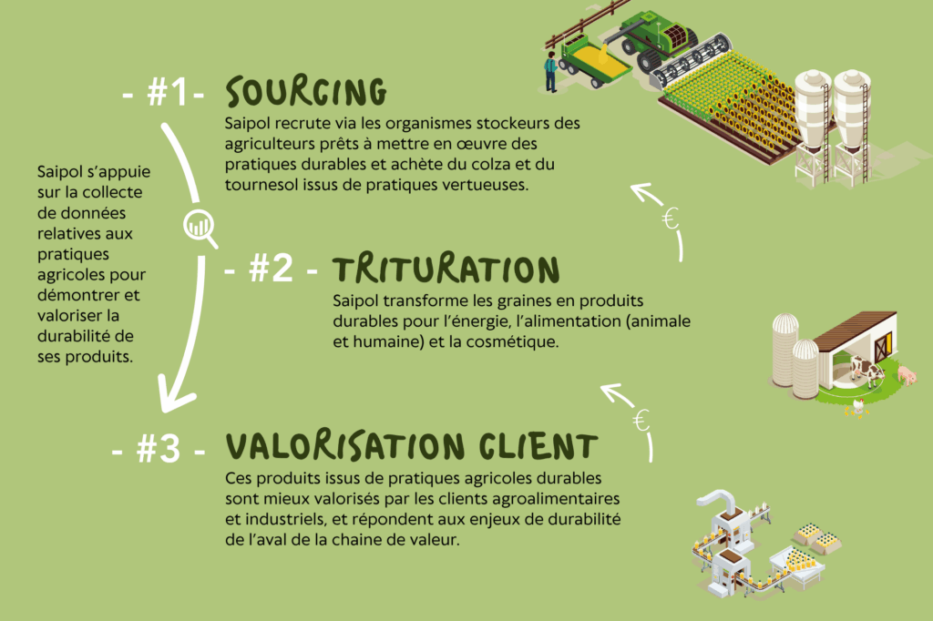 Schéma Saipol du sourcing de graines jusqu'à la valorisation client
